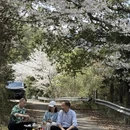 宁波旅游 缩略图 9