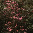 毕节旅游 缩略图 6