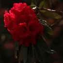 毕节旅游 缩略图 5