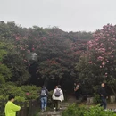 遵义旅游 缩略图 2