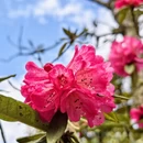 毕节旅游 缩略图 4