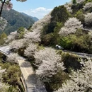 宁波旅游 缩略图 1