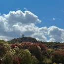 遵义旅游 缩略图 10