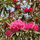 毕节旅游 缩略图 5