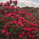 毕节旅游 缩略图 14