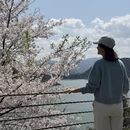 宁波旅游 缩略图 2