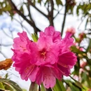 毕节旅游 缩略图 6