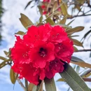毕节旅游 缩略图 7