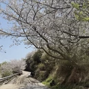 宁波旅游 缩略图 3