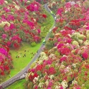毕节旅游 缩略图 2