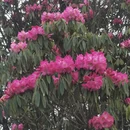 毕节旅游 缩略图 16