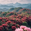 毕节旅游 缩略图 3