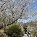 宁波旅游 缩略图 4