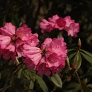 毕节旅游 缩略图 1