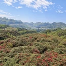 毕节旅游 缩略图 9