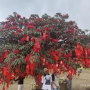 遵义旅游 缩略图 3
