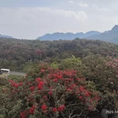 遵义旅游 缩略图 5