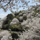 宁波旅游 缩略图 12