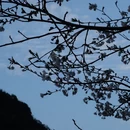 宁波旅游 缩略图 10