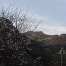 宁波旅游 缩略图 11
