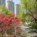 宁波旅游 缩略图 3