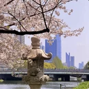 宁波旅游 缩略图 2