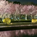宁波旅游 缩略图 9