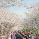 宁波旅游 缩略图 2