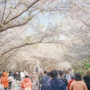 宁波旅游 缩略图 4