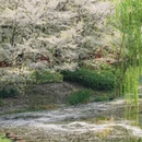 宁波旅游 缩略图 3