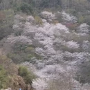 宁波旅游 缩略图 2