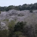 宁波旅游 缩略图 3