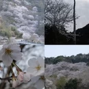 宁波旅游 缩略图 1