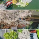 宁波旅游 缩略图 7