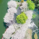 宁波旅游 缩略图 10