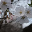 宁波旅游 缩略图 5