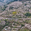 宁波旅游 缩略图 2
