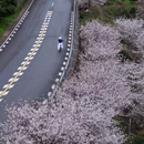 宁波旅游 缩略图 3