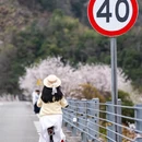宁波旅游 缩略图 4