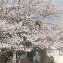 宁波旅游 缩略图 2