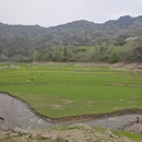 宁波旅游 缩略图 6