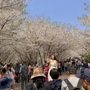 宁波旅游 缩略图 9