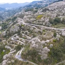 宁波旅游 缩略图 10