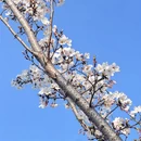 宁波旅游 缩略图 7