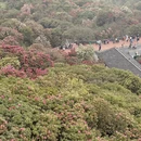 遵义旅游 缩略图 4