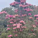 遵义旅游 缩略图 5