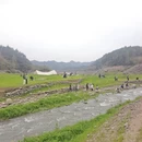 宁波旅游 缩略图 7