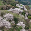 宁波旅游 缩略图 11