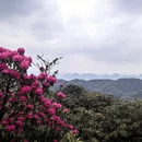 毕节旅游 缩略图 1