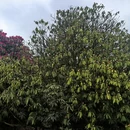 毕节旅游 缩略图 2